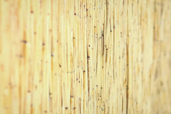 Beautiful Reed Fence Wall Pyrode Background — Stock Photo, Image