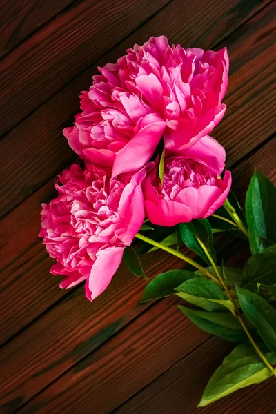 Peonies Flowers Wooden Background Concept Mothers Day — Stock Photo, Image