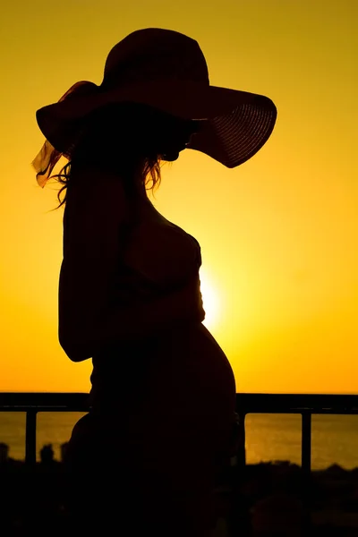 Hermosa Silueta Una Chica Embarazada Fondo Naturaleza Fondo — Foto de Stock