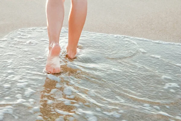 Snygga Vackra Ben Med Spår Havet Sommaren Naturen — Stockfoto