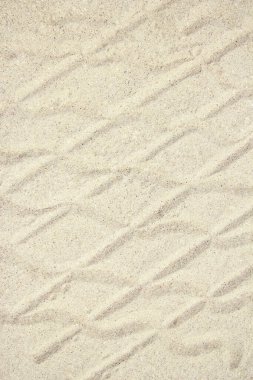 Yazın doğada, denizin kumlarında güzel bir desen.