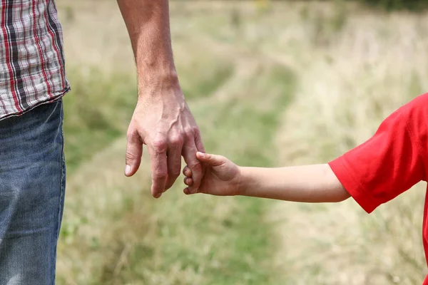 公园家庭观念中快乐的孩子和父母在自然上的手牵手 — 图库照片