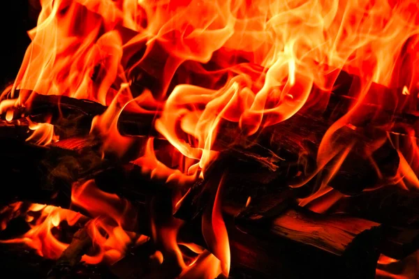 Fire Coals Fire Nature Picnic Background Burns Out Bonfire Food — Stock Photo, Image
