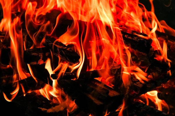 用煤生火 自然野餐背景生火 在街上烧篝火当食物 — 图库照片