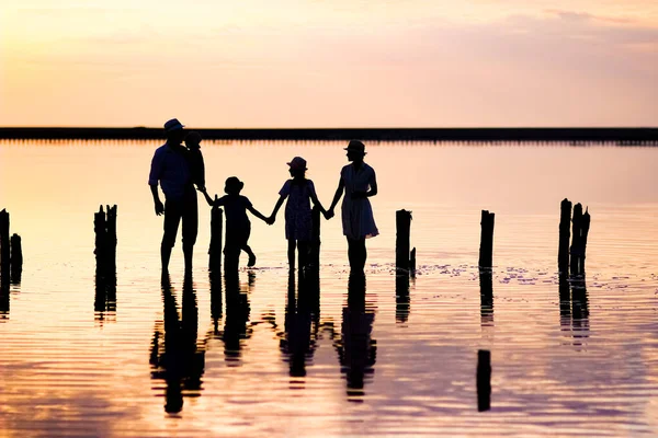 Счастливый Семейный Силуэт Море Прогулкой Парке Природе — стоковое фото