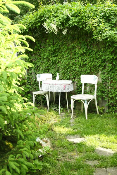 Sedie Tavolo Nel Verde Giardino — Foto Stock