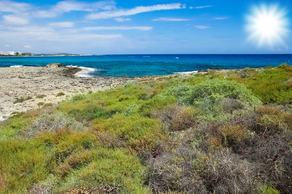 beautiful nature of Cyprus near the sea in the open air
