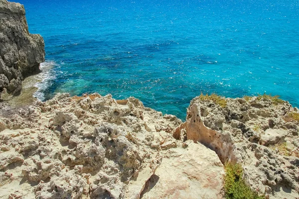 beautiful nature of Cyprus near the sea in the open air