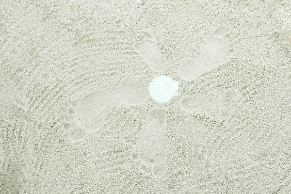 自然背景上海沙上的美丽图案 — 图库照片