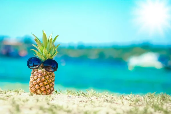 菠萝在大自然的海边 在大自然的衬托下 — 图库照片