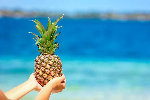 Ananas Händerna Man Vid Havet Naturen Resa Bakgrund — Stockfoto