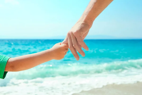 Mãos Pai Uma Criança Felizes Praia Uma Viagem Pela Natureza — Fotografia de Stock