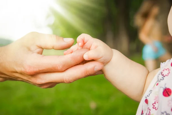 Hände Eines Glücklichen Elternteils Und Eines Glücklichen Kindes Der Natur — Stockfoto