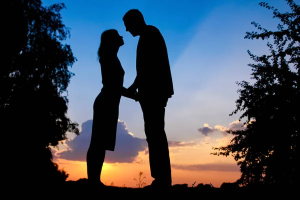 Lyckliga Paret Tillsammans Sunset Silhuetten Naturen — Stockfoto