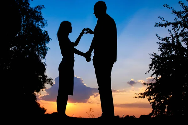 幸福的夫妇在落日下的剪影连在一起的性质 — 图库照片