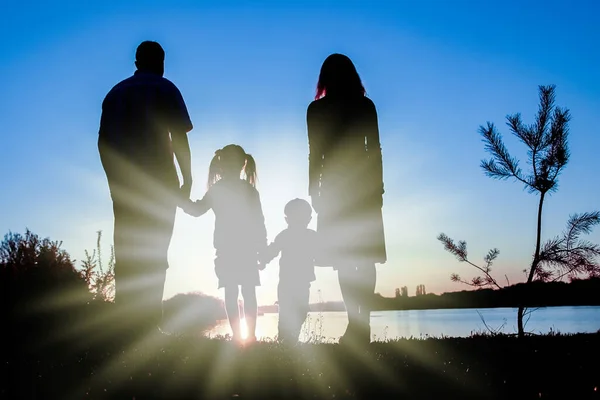 Famiglia Silhouette Tra Cui Padre Madre Due Figli Nelle Mani — Foto Stock