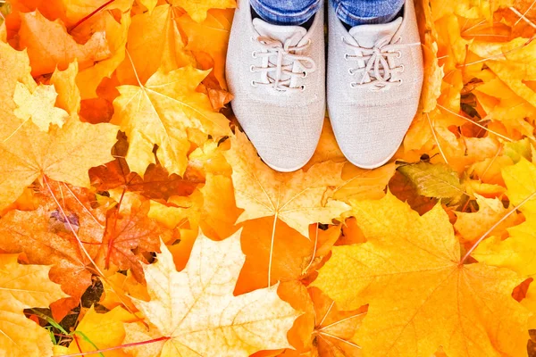 Feet Background Leaves Autumn Background Summer — Stock Photo, Image