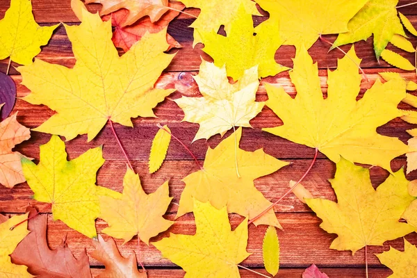 Podzimní Listí Přes Dřevěné Pozadí Kopírovacím Prostorem — Stock fotografie
