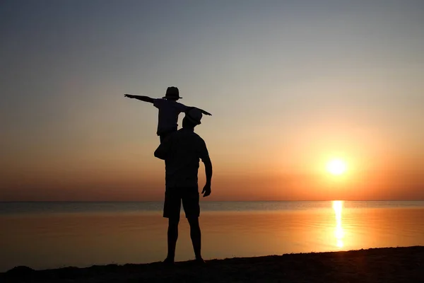 Joyeux Parent Avec Enfant Bord Mer Jouer Sur Nature Silhouette — Photo