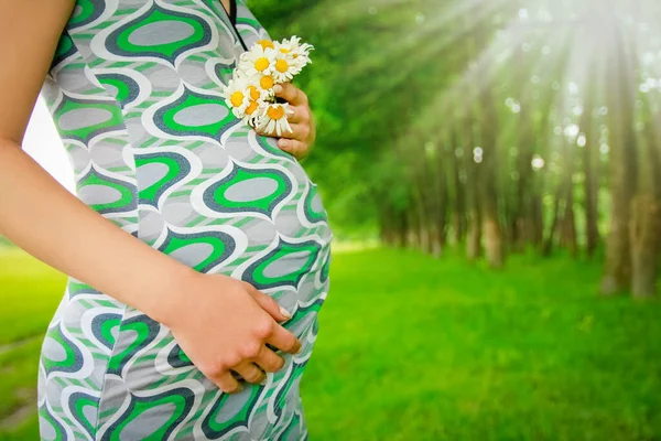 Ευτυχισμένη Έγκυος Γυναίκα Στη Φύση Λουλούδια Στο Πάρκο — Φωτογραφία Αρχείου