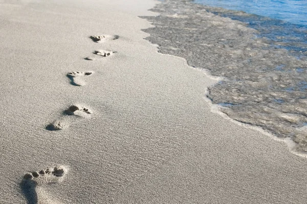 美丽的脚印在海边的沙滩上 在自然背景 — 图库照片
