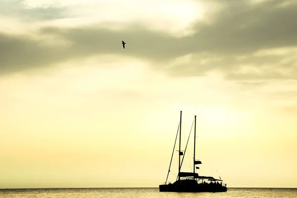 Schöne Yacht Segeln Der Silhouette Des Meeres Hintergrund — Stockfoto