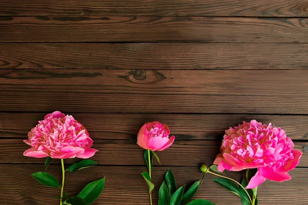 Roze Pioenrozen Bloemen Houten Achtergrond — Stockfoto