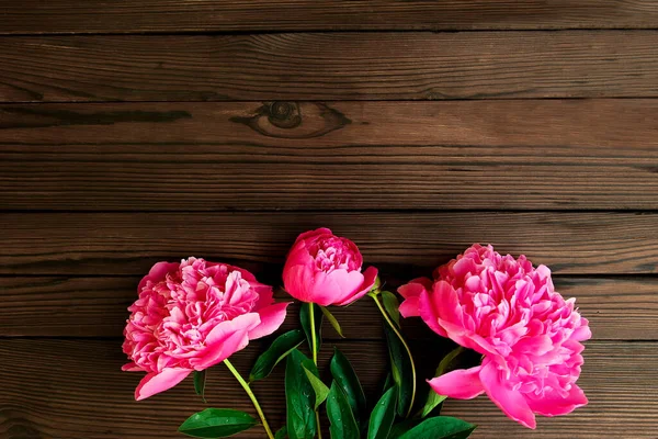 Pink Peonies Flowers Wooden Background — Stock Photo, Image