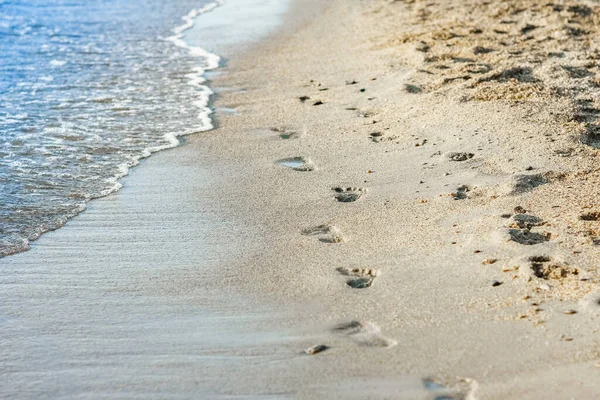 Füße Und Fußabdrücke Meer Der Natur — Stockfoto