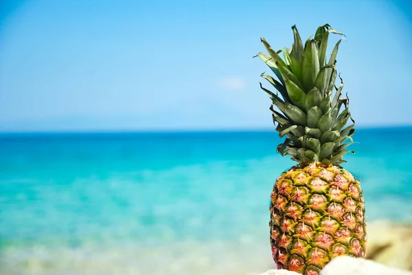 週末旅行で海のそばのパイナップル — ストック写真