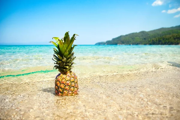 Ananas Het Water Aan Zee Natuurweekend Reizen — Stockfoto