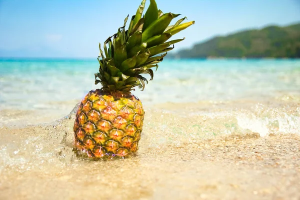 週末旅行で海のそばのパイナップル — ストック写真