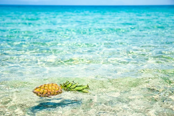 Ananas Wasser Meer Der Natur Wochenendreisen — Stockfoto