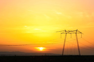 Elektrik kabloları doğada elektrik şoku tehlikesi yaratıyor.