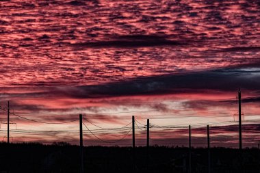 Kırmızı bir gökyüzünün arka planında elektrik kabloları var.