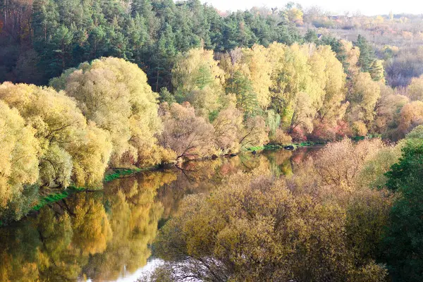 Manzara ağaçları sonbahar parkı doğa sezonu