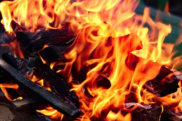 石炭で火災や自然ピクニックの背景に火災 路上で食べ物のためのたき火を燃やす — ストック写真