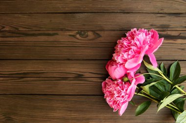 Tahta arka planda çiçek şakayığı tatili