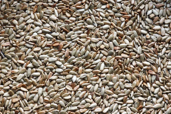 Sunflower Seeds Background Grain Oil — Stock Photo, Image