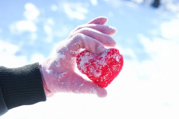Heart in the hands of a girl against the sky Valentine\'s day in a park in nature