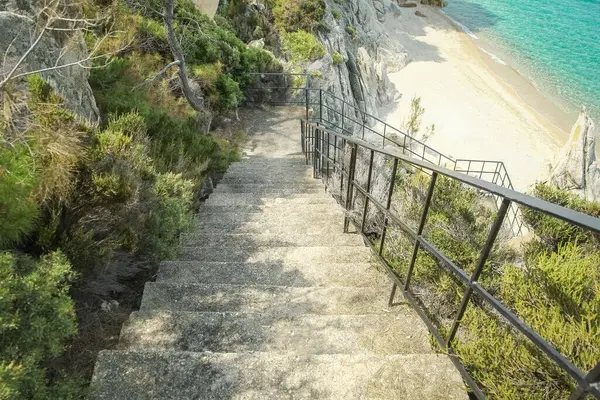 beautiful steps by the sea on nature in the park background