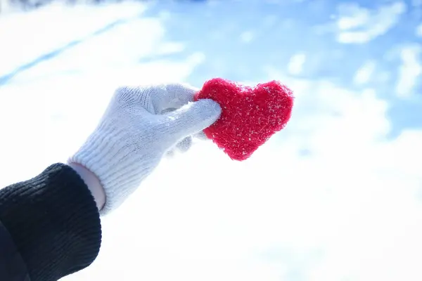 Heart Hands Girl Sky Valentine Day Park Nature — Stock Photo, Image