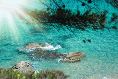 Beach near the sea in nature recreation vacation journey background