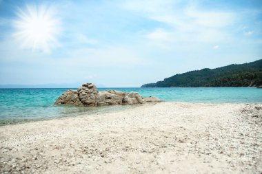 Parktaki arka planda deniz kenarında güzel bir doğa.