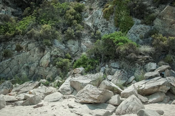 Parktaki arka planda deniz kenarında güzel bir doğa.