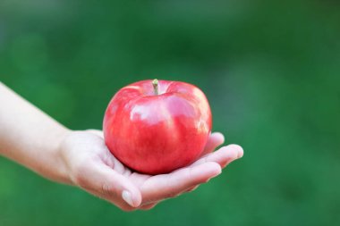 bahçe arka planda doğa üzerinde bir çocuğun elinde elma