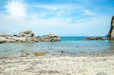 Parktaki arka planda deniz kenarında güzel bir doğa.