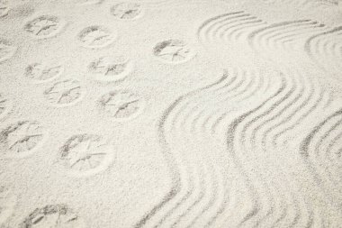drawing on the sand by the sea travel background