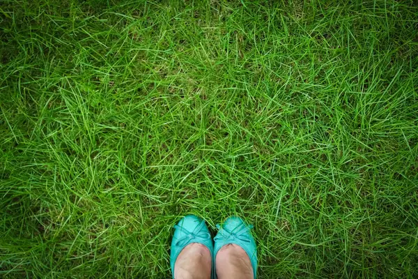 Beautiful Legs Grass Summer Park — Stock Photo, Image