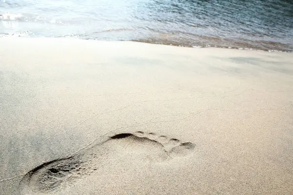 海辺の自然のビーチに美しい足跡 ロイヤリティフリーのストック写真